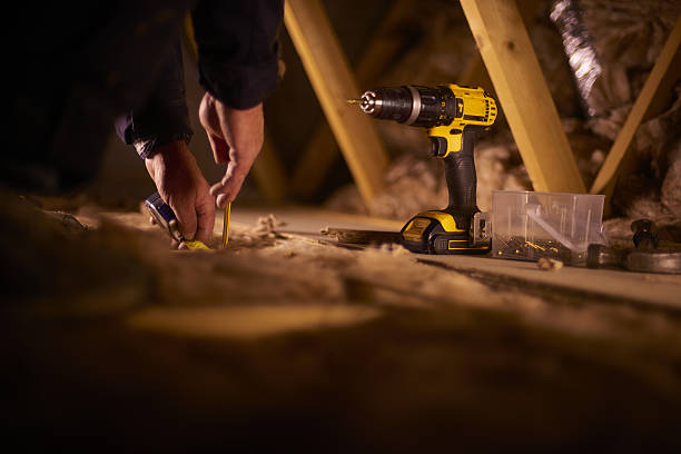 Best Insulation Inspection Services  in Pocomoke City, MD
